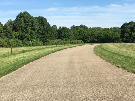 Race route and road to park.