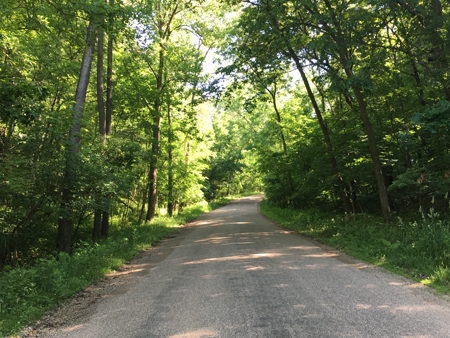 Park Driveway/Entry Road